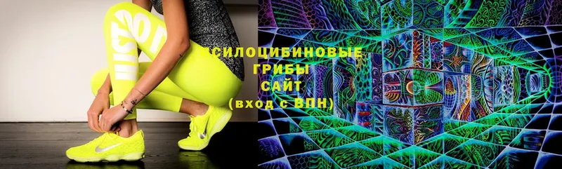 Галлюциногенные грибы Psilocybine cubensis  Галич 